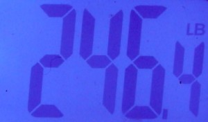Weight In 2-7-2013 (Down .2 from yesterday)